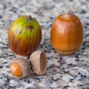 Geurige Noten – Mogged fragrances en Mogged bottles